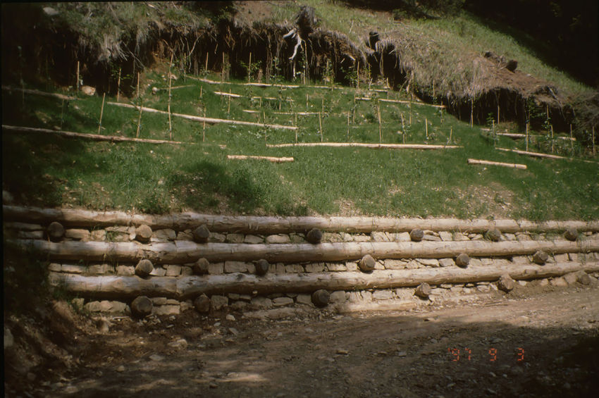 Palificata, Strada Malga Monte Sole