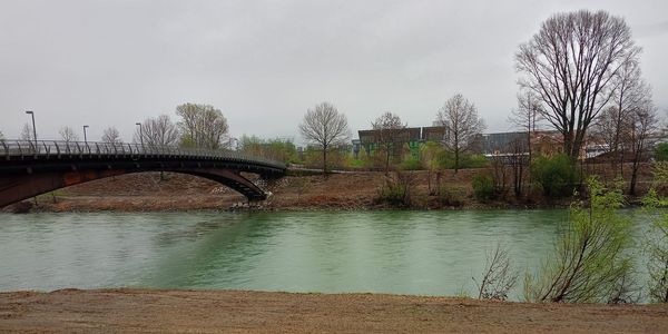 Immagine decorativa per il contenuto Breve sintesi sui lavori realizzati nel 2024 nel comune di Trento